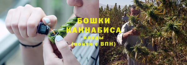 ALPHA PVP Новозыбков